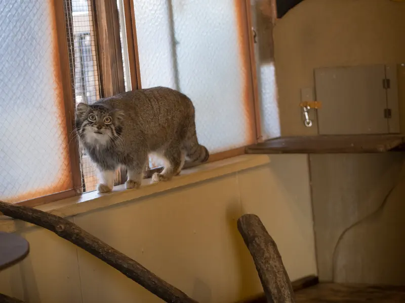 埼玉県こども動物自然公園のオトの写真