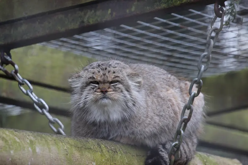 バナム動物園のバックの写真