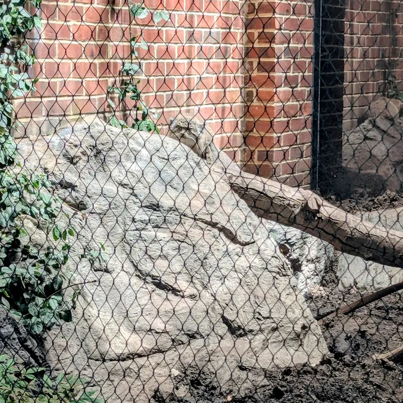 プロスペクト・パーク動物園のサルナイの写真