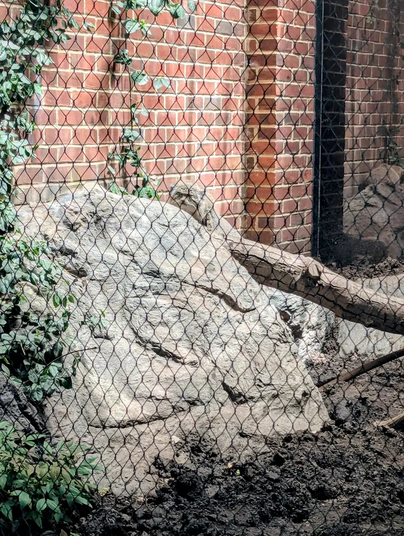 プロスペクト・パーク動物園のサルナイの写真