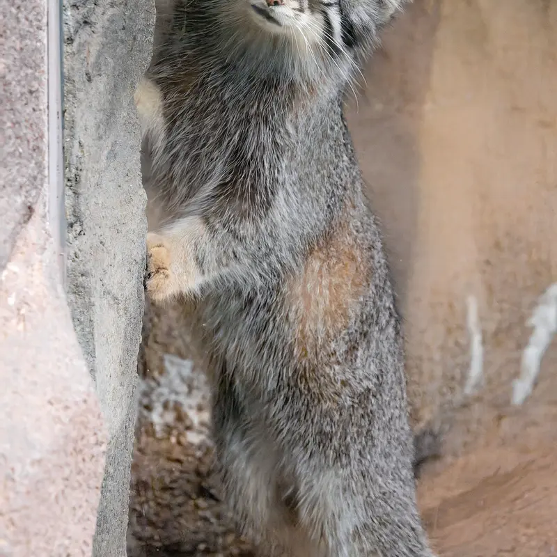 神戸どうぶつ王国のオトの写真