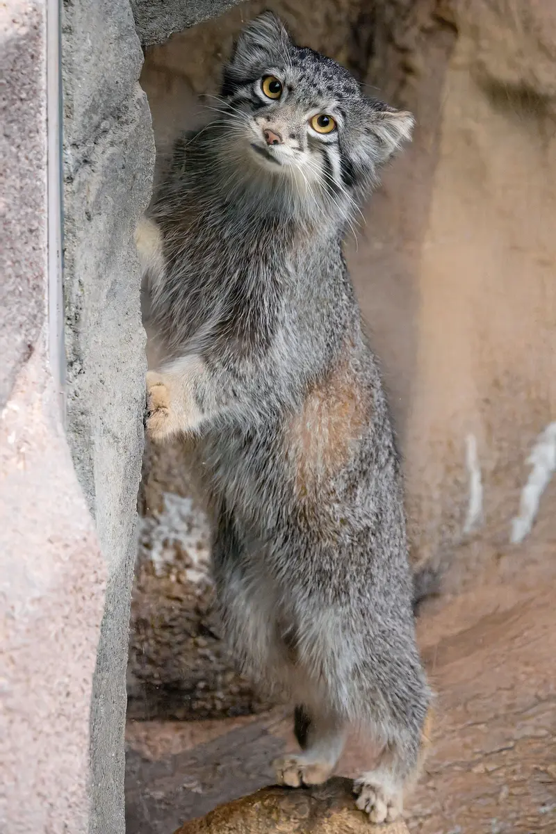 神戸どうぶつ王国のオトの写真