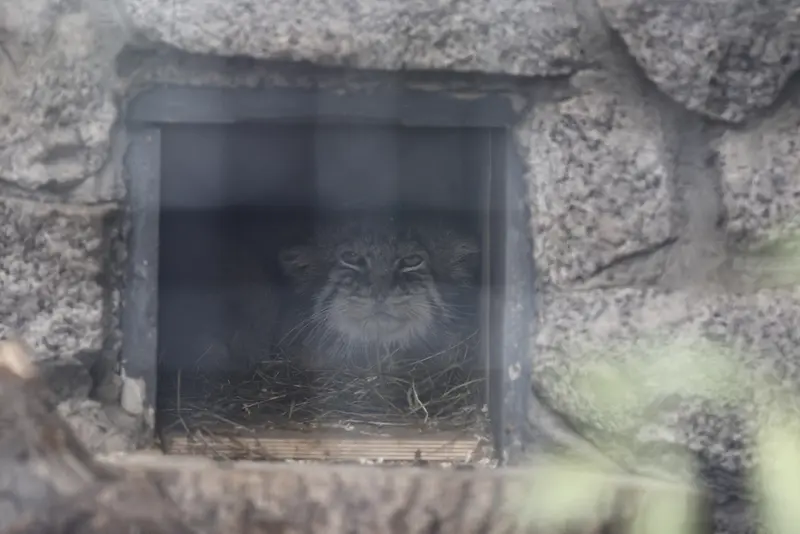 レニングラード動物園のスヴェンの写真