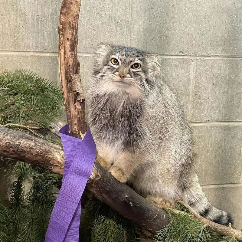 ニアイビ動物園のイーヴィーの写真