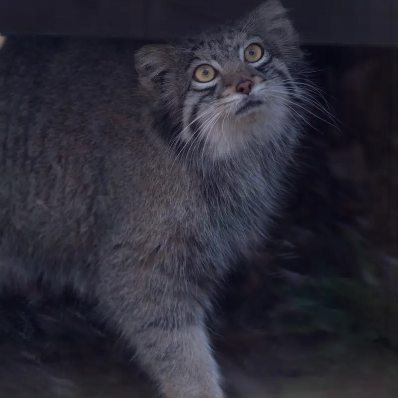 埼玉県こども動物自然公園のオトの写真