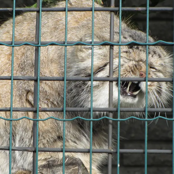マクデブルク動物園のジョナサンの写真