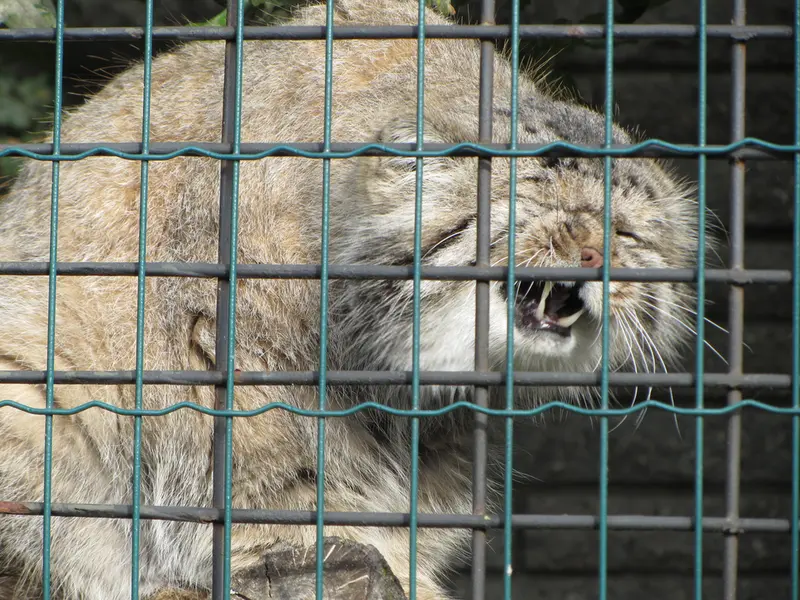 マクデブルク動物園のジョナサンの写真