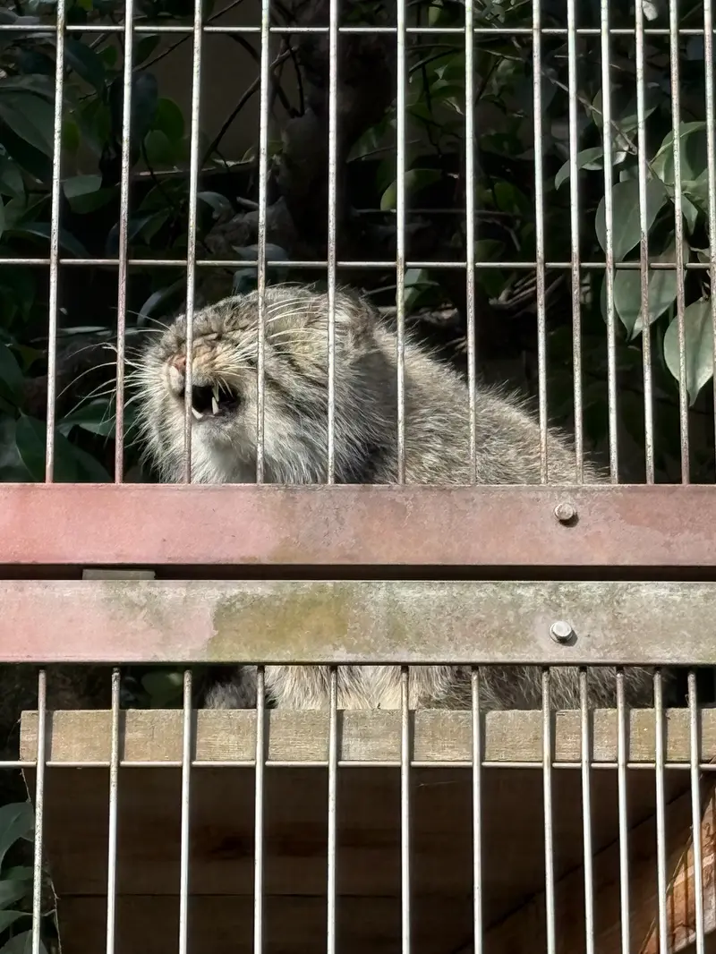 東山動植物園のエルの写真