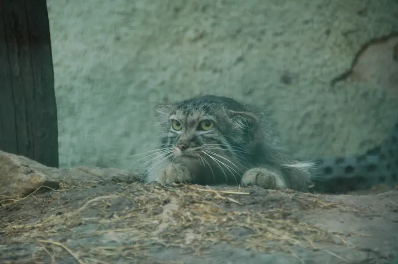 ブダペスト動物園＆植物園のルーシーの写真