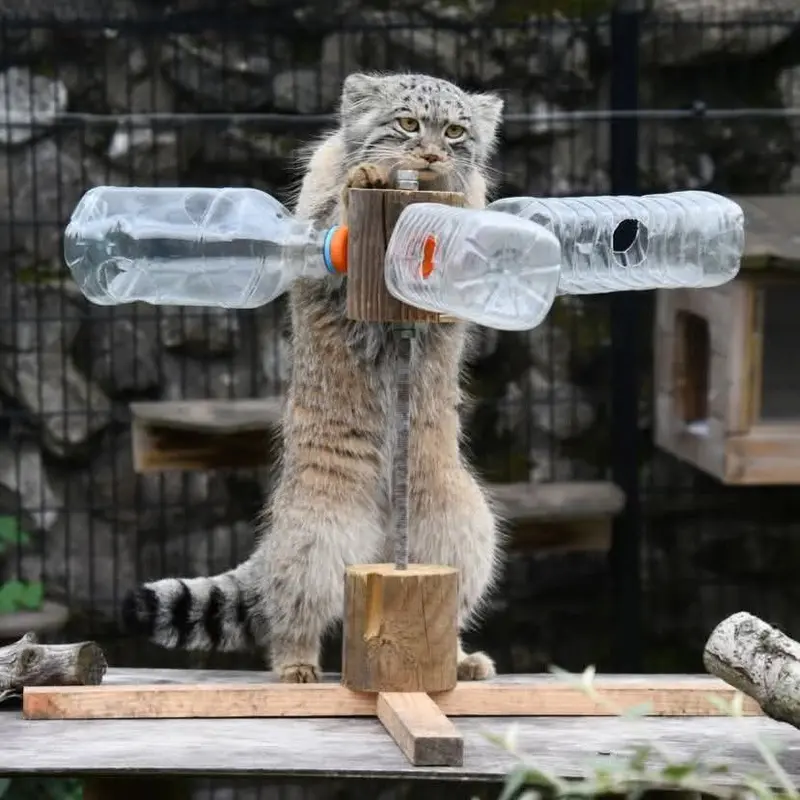 ビオ・トピア・ダンケルクのサランの写真