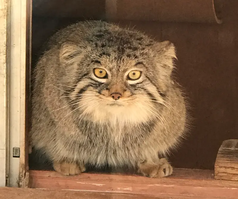 埼玉県こども動物自然公園のレフの写真