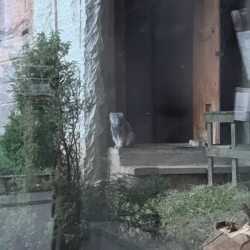モスクワ動物園のティモフェイの写真