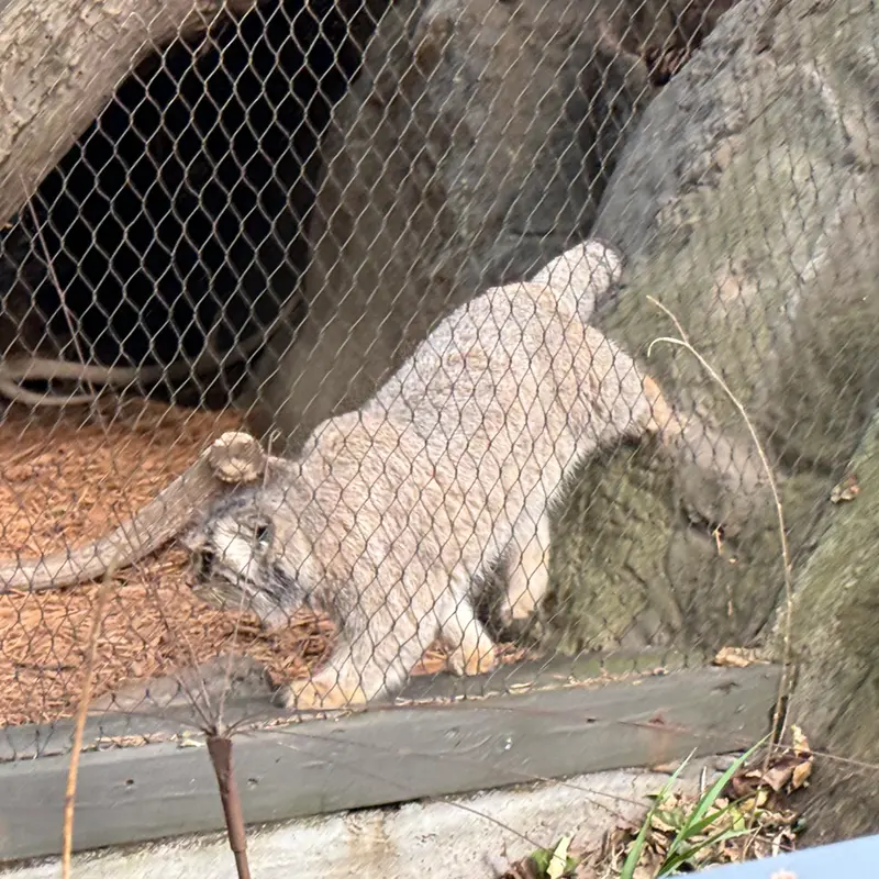 プロスペクト・パーク動物園のサルナイの写真