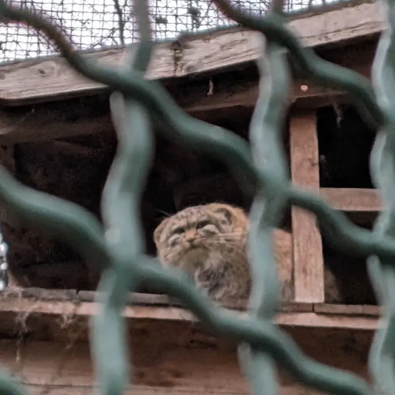 ブダペスト動物園・植物園のルーシーの写真
