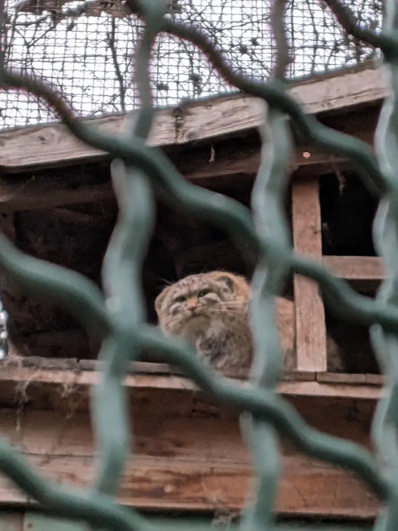 ブダペスト動物園・植物園のルーシーの写真