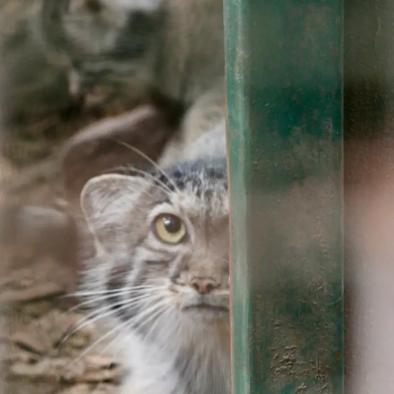 ブダペスト動物園＆植物園のルーシーの写真