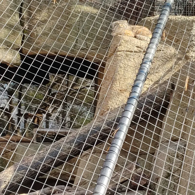 シンシナティ動物園のムーシューの写真