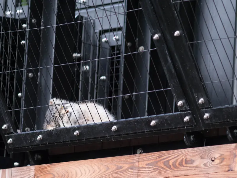 旭山動物園のグルーシャの写真