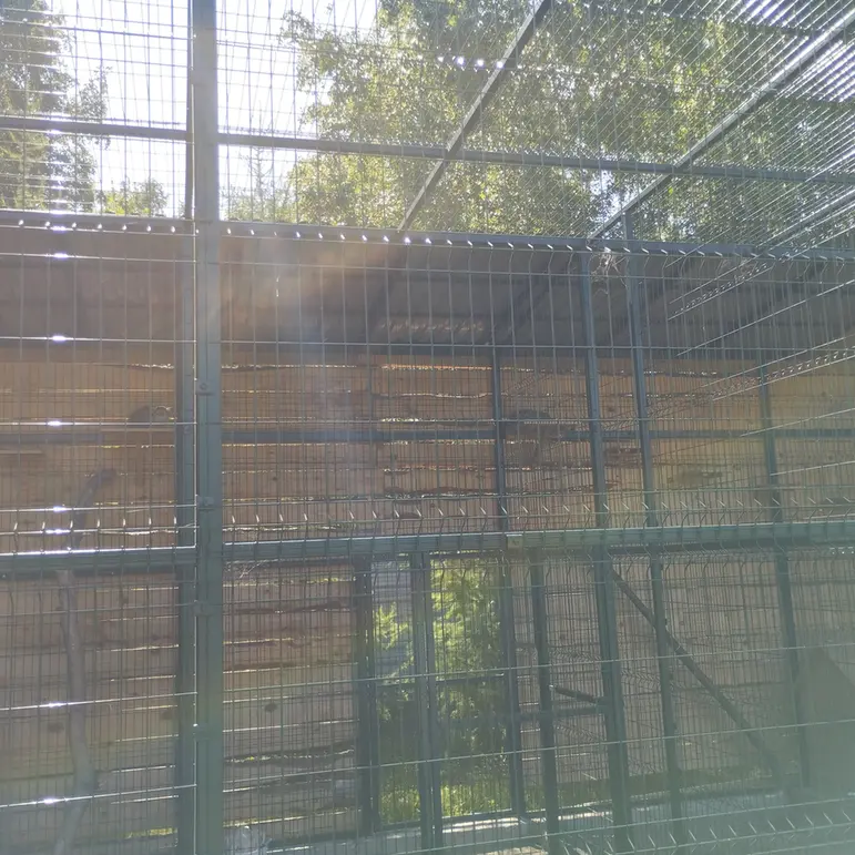 バルナウル動物園「レースナヤ・スカースカ」のペペとチップの写真