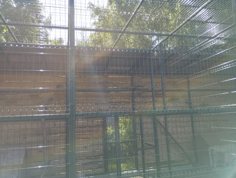 バルナウル動物園「レースナヤ・スカースカ」のペペとチップの写真