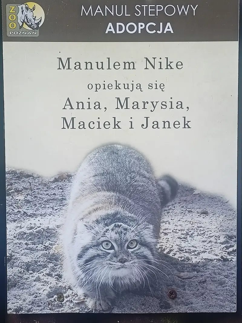 ポズナン新動物園のナイキの写真