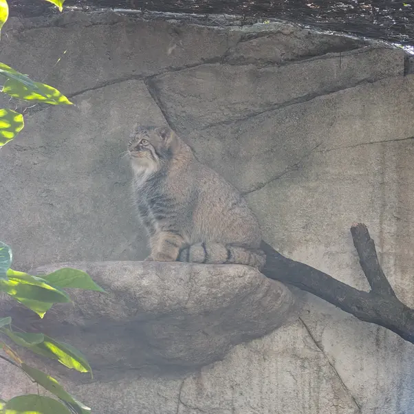 コロンバス動物園・水族館のミーラの写真