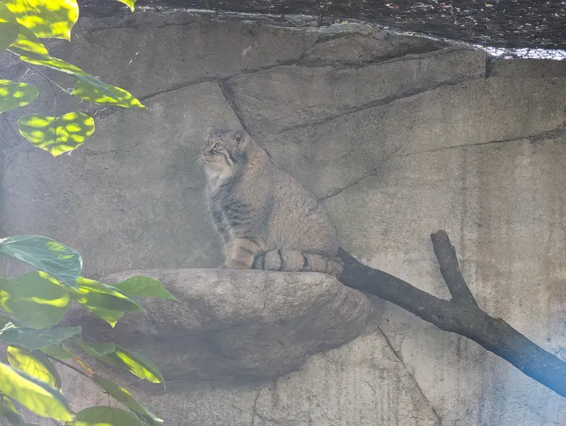 コロンバス動物園・水族館のミーラの写真