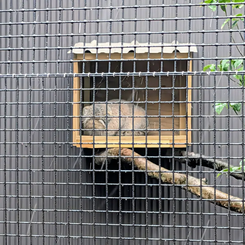 エルムウッド・パーク動物園のレザの写真
