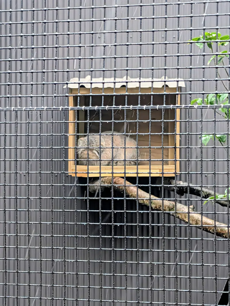 エルムウッド・パーク動物園のレザの写真