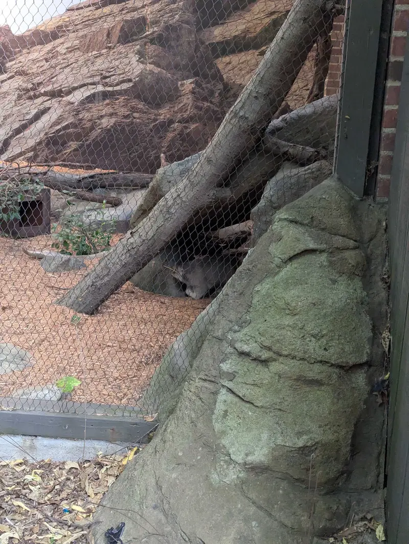 プロスペクト・パーク動物園のサルナイの写真