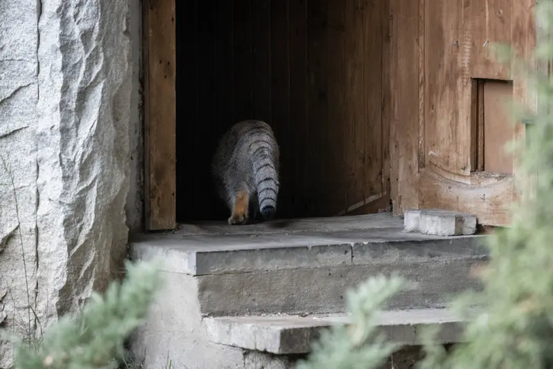 モスクワ動物園のティモフェイの写真