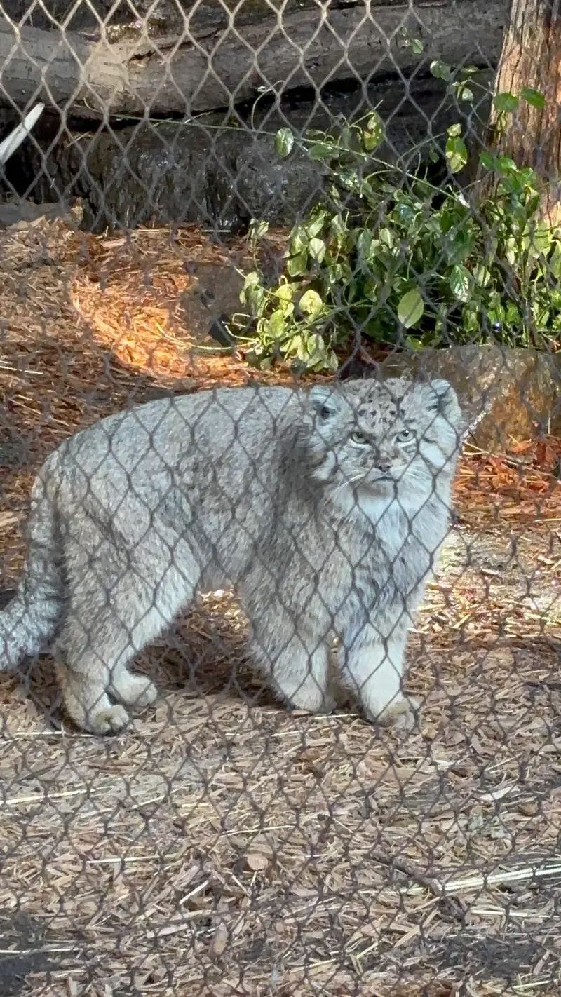 プロスペクト・パーク動物園のバトゥの写真