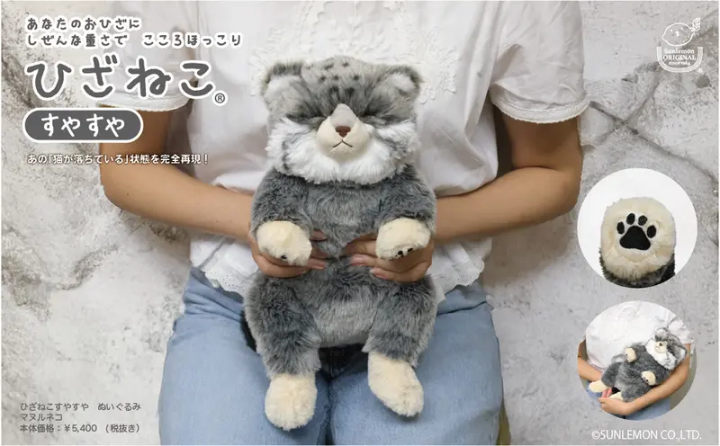 マヌルネコの写真