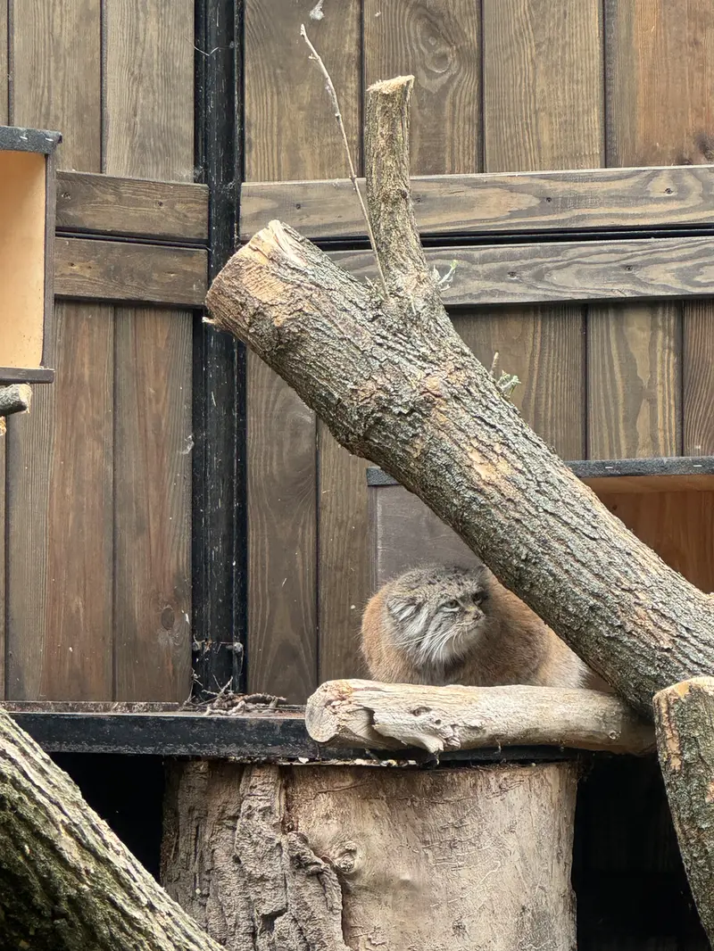 ワルシャワ動物園のジェシーの写真