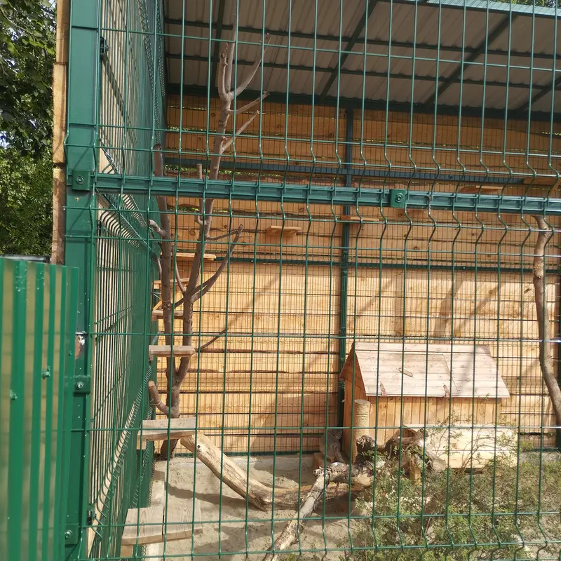バルナウル動物園「レースナヤ・スカースカ」のペペの写真