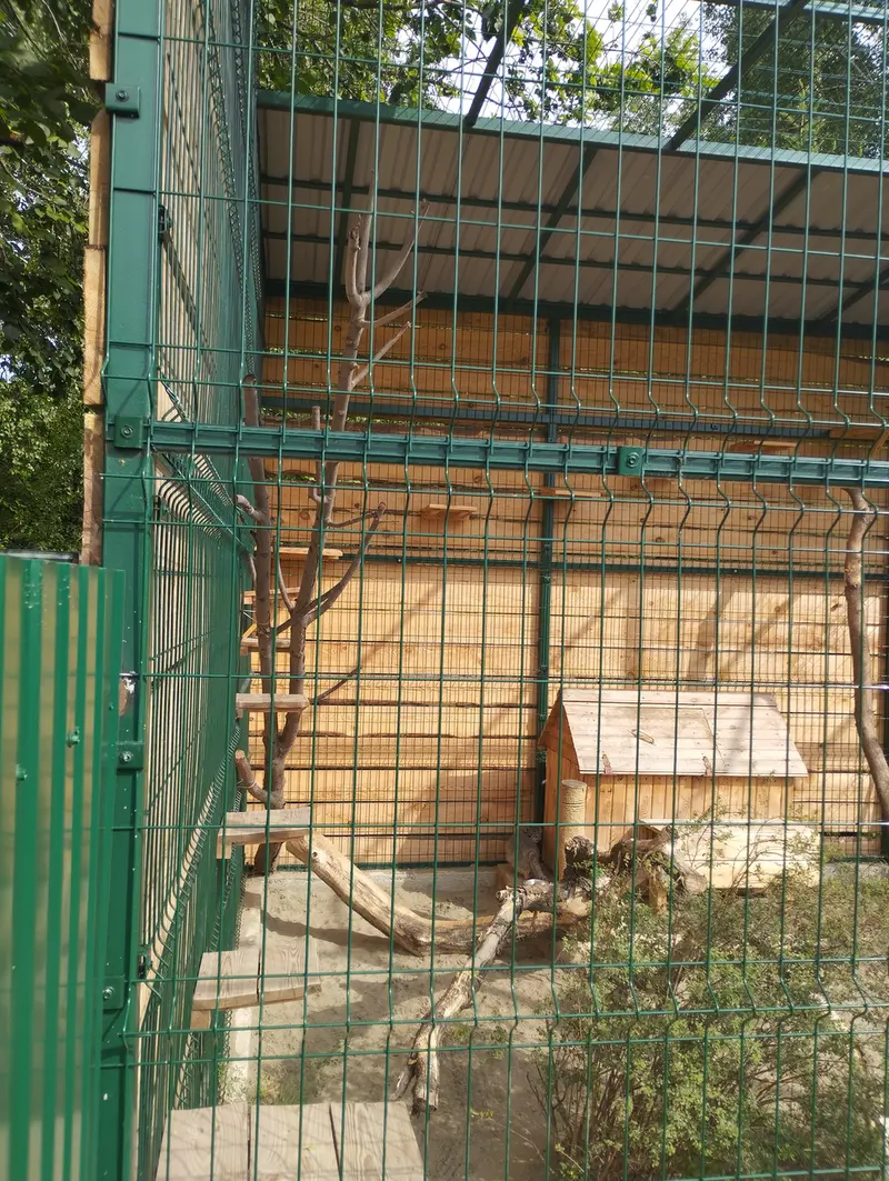 バルナウル動物園「レースナヤ・スカースカ」のペペの写真