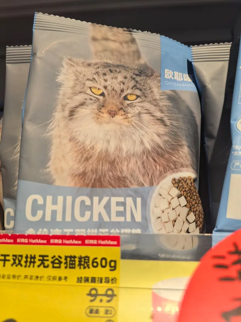 マヌルネコの写真