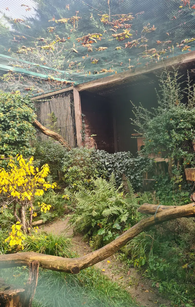 デッサウ動物園のデルスの写真