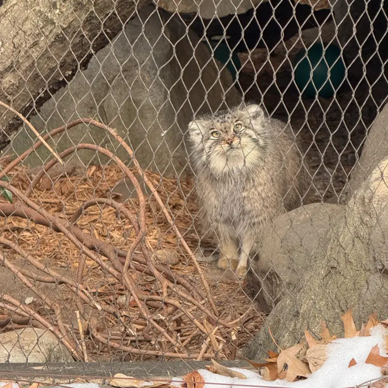 プロスペクト・パーク動物園のサルナイの写真