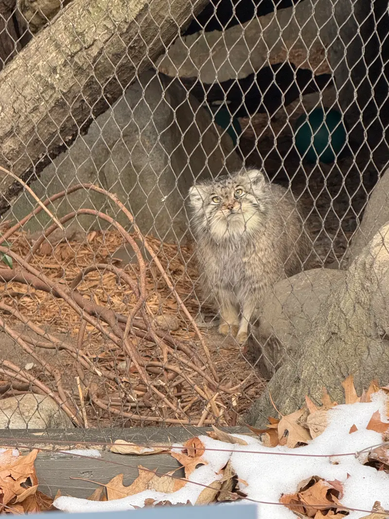 プロスペクト・パーク動物園のサルナイの写真