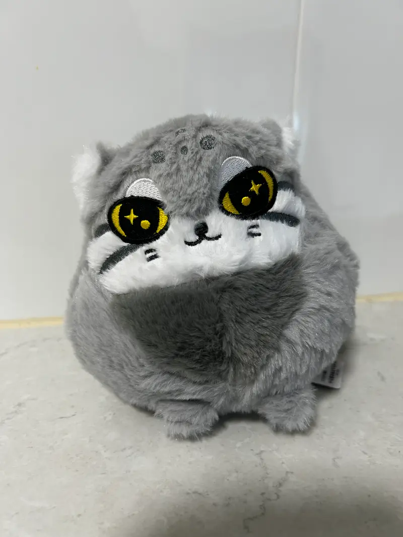 マヌルネコの写真