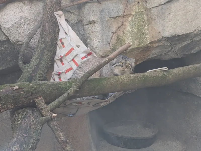 コロンバス動物園・水族館のミーラの写真