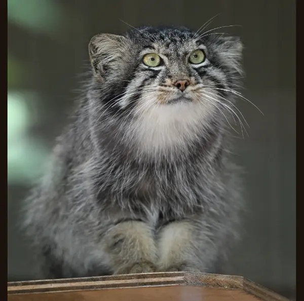 ヤスの写真