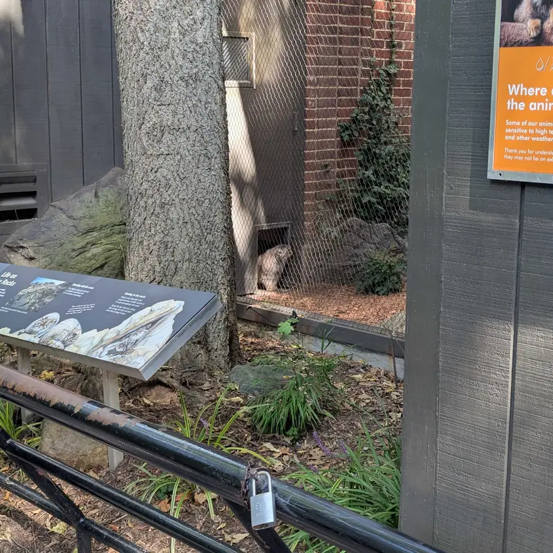 プロスペクト・パーク動物園のサルナイの写真