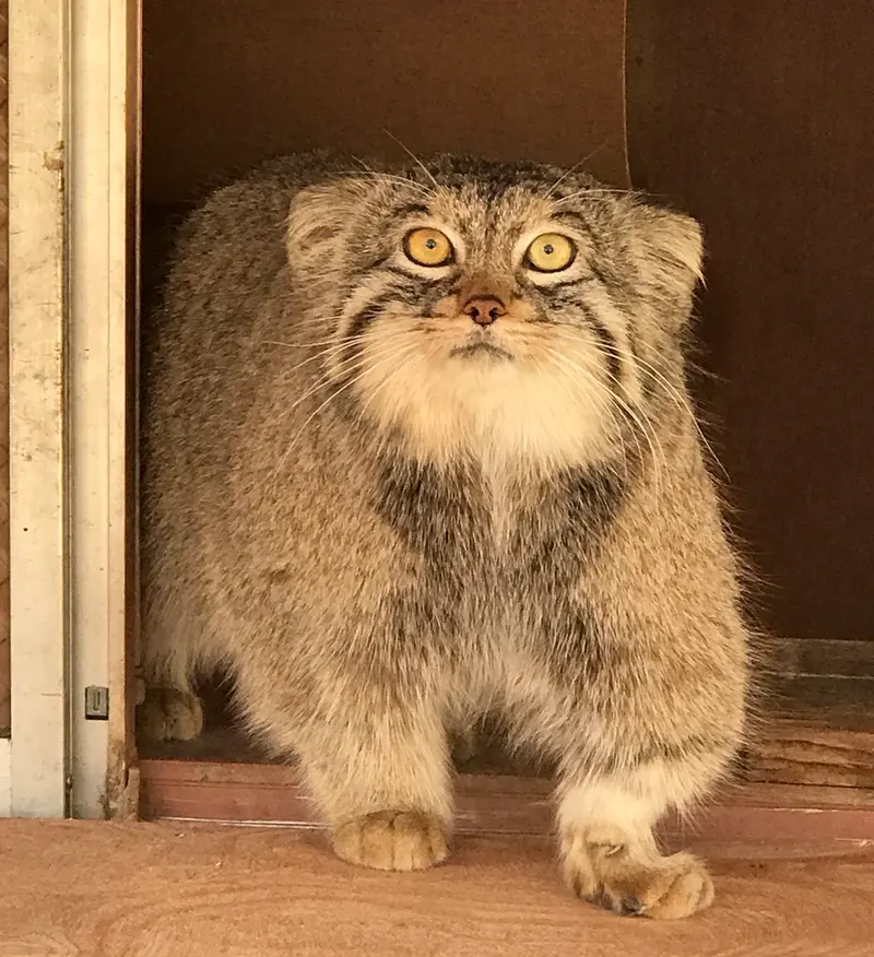 埼玉県こども動物自然公園のレフの写真