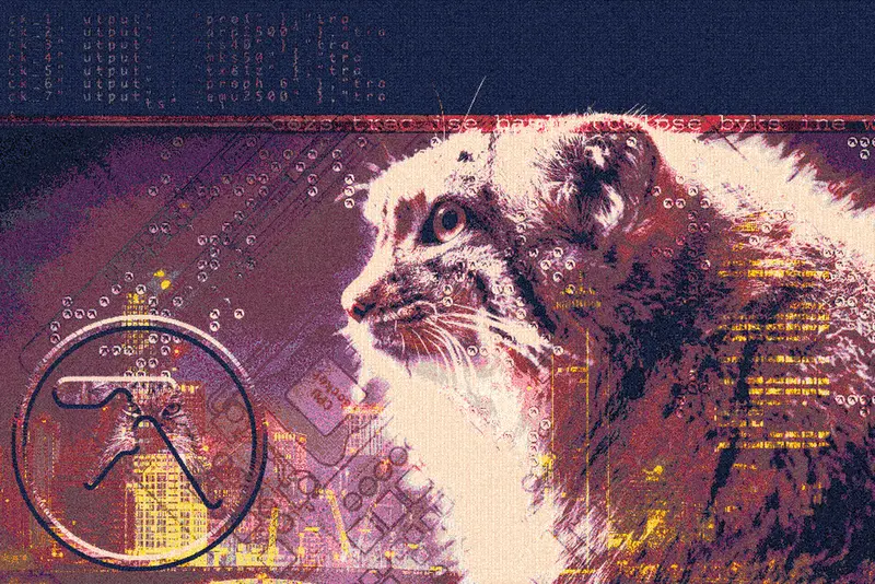 マヌルネコの写真