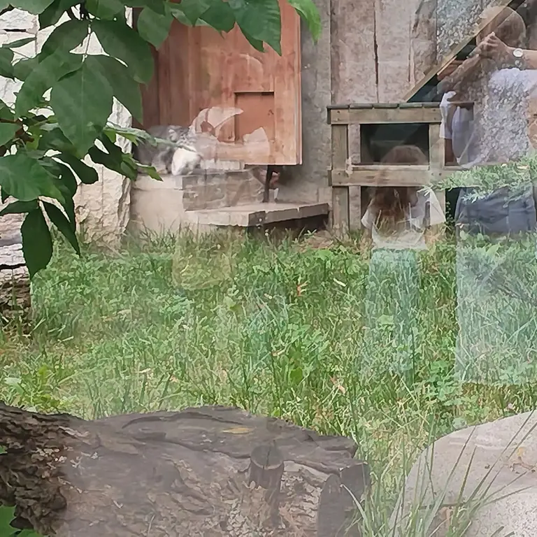モスクワ動物園のティモフェイの写真