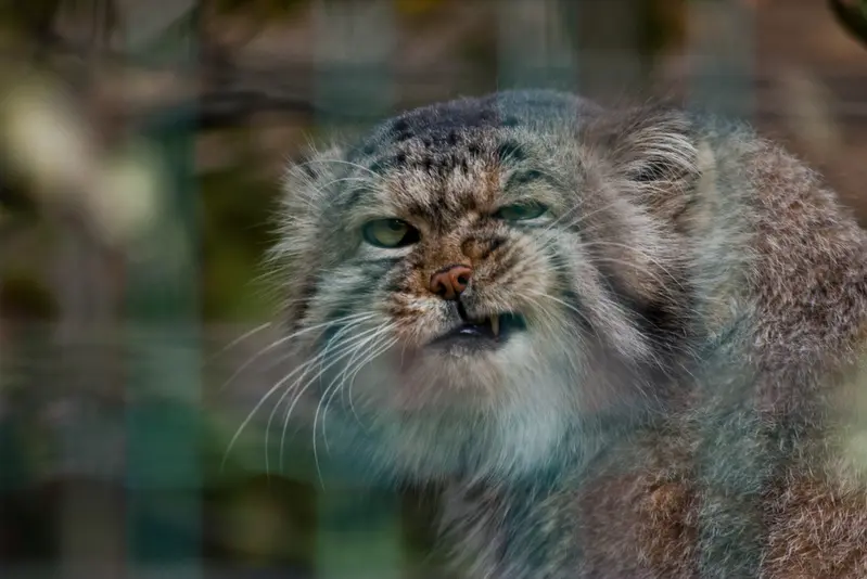 マクデブルク動物園のジョナサンの写真