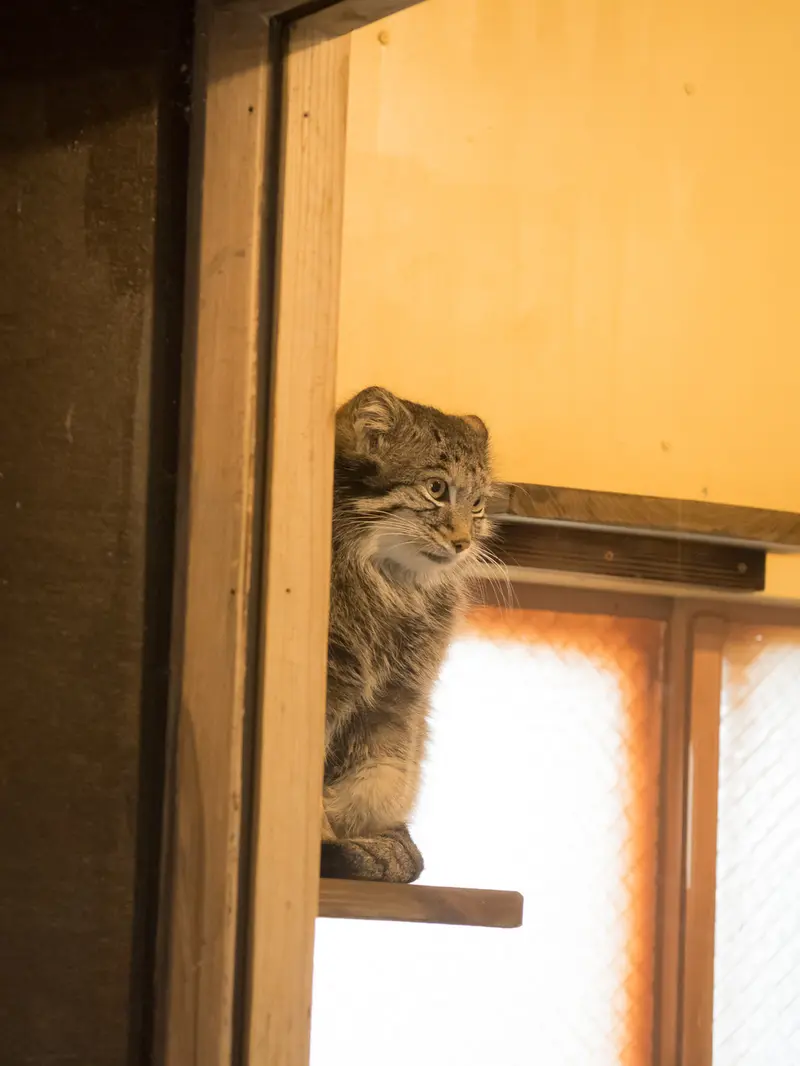 埼玉県こども動物自然公園のオトの写真