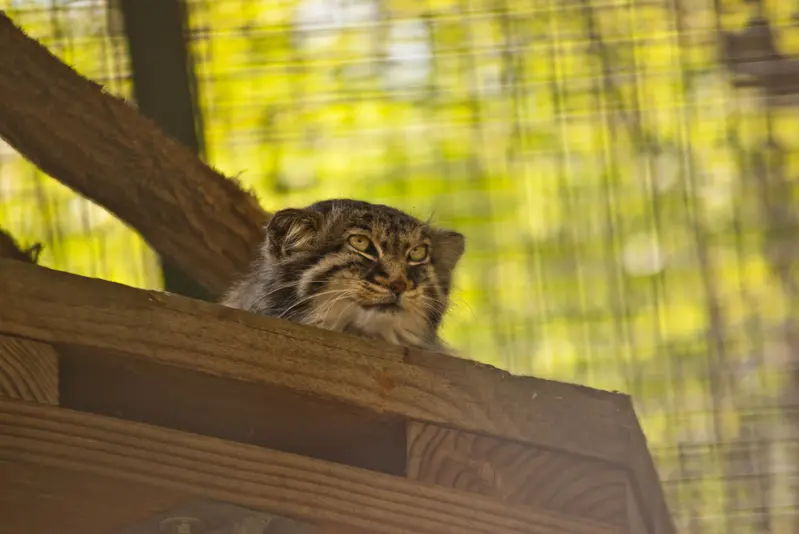 ザールブリュッケン動物園のカール・ハインツの写真